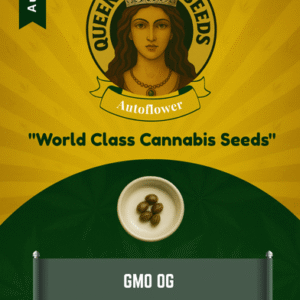 GMO OG Autoflowering Feminized Marijuana Seeds