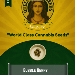 Bubble Berry Feminized Seeds