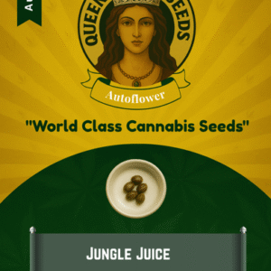 Jungle Juice Autoflower Marijuana Seeds