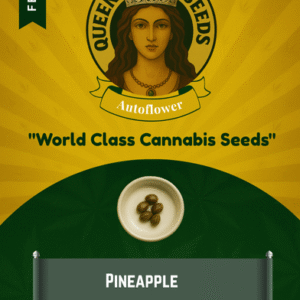 Pineapple Feminized Seeds