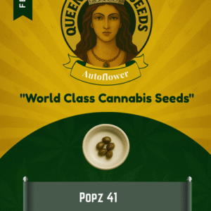 Popz 41 Feminized Seeds