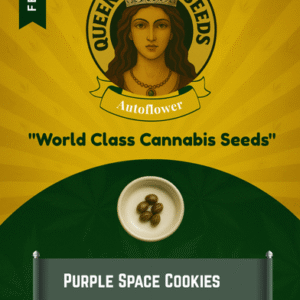 Purple Space Cookies Feminized Seeds